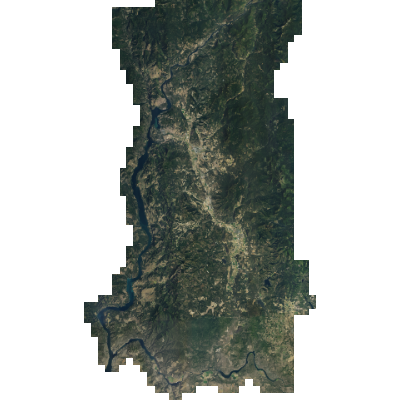 Export Image