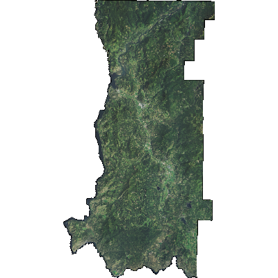 Export Image