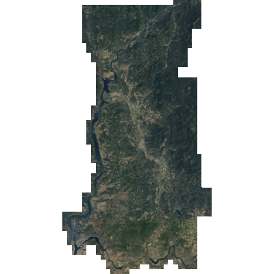 Export Image