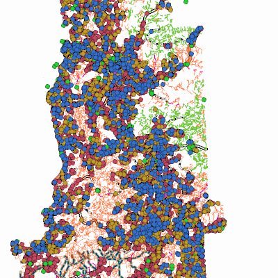 Export Image